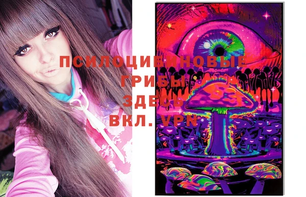 спиды Лиски