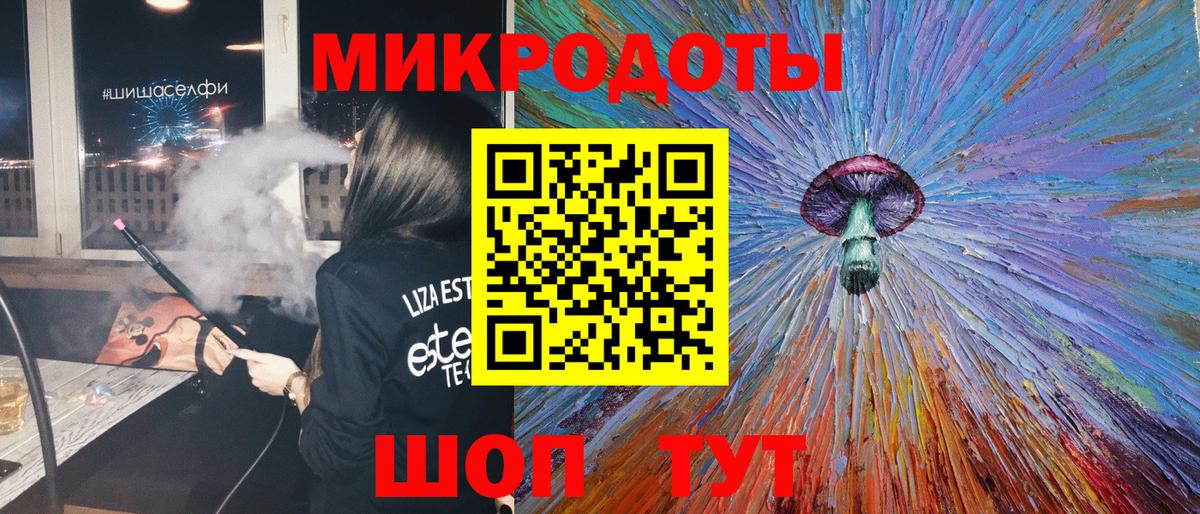 где купить наркоту  Братск  Галлюциногенные грибы Psilocybe 