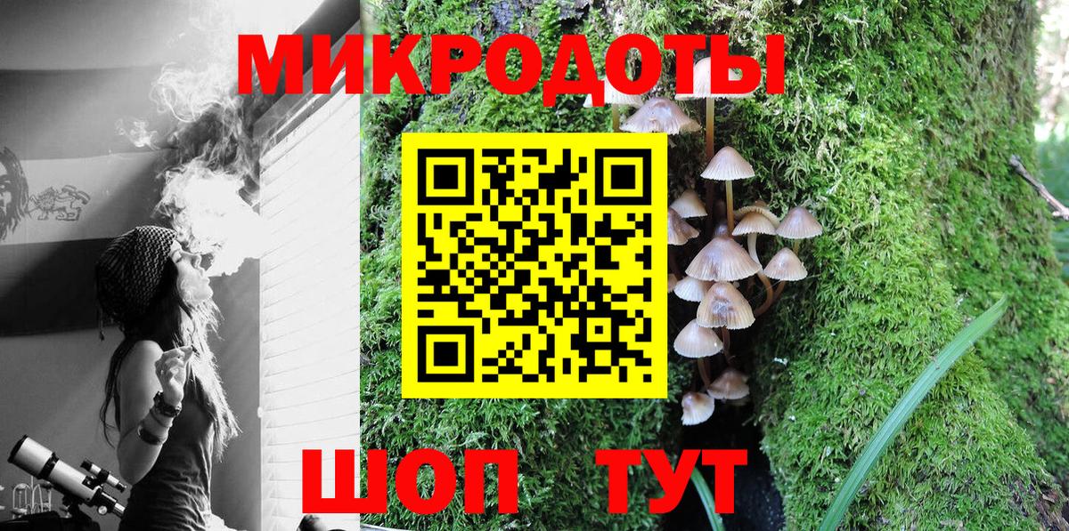 Братск  Псилоцибиновые грибы Magic Shrooms  Вход с VPN 