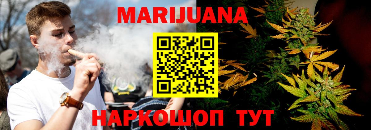 Бошки Шишки планчик Братск